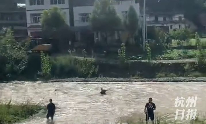 母子|“快点救人！”母子俩不慎被湍急河水冲走，重庆5位小伙救起3人