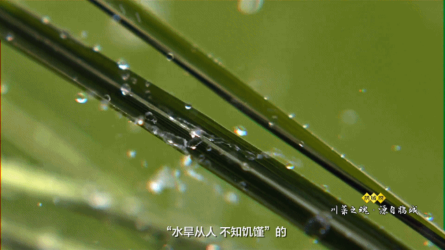 遇见|遇见非遗 | 都是酱，凭什么它叫“川菜之魂”？