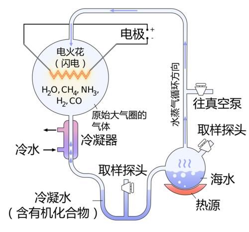 我们或许真是从石头缝里蹦出来的——生命起源