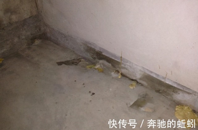 原则|买房有“三原则”，买南，买边，不买二，不会挑到差房子