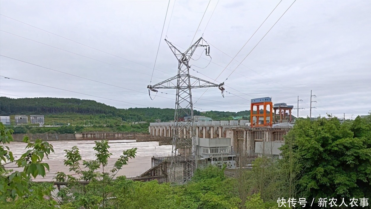 大水|又是钓鱼惹的祸,四川2男1女深夜在嘉陵江中看热闹,被大水被冲走