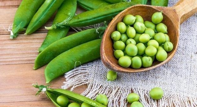 降血脂|1种豆类食物,每天吃点,降血脂、血管更年轻,看完快告诉家里人