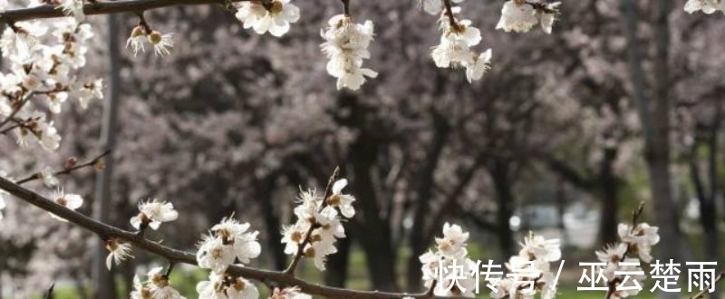 北山#王安石这首诗也被严重低估了,句句是经典,最后两句美得令人心醉