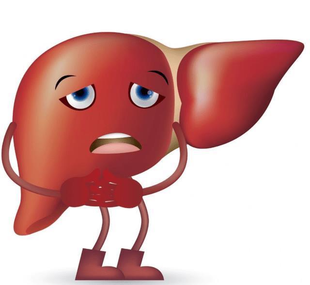 饮酒|47岁大哥坚持喝酒26年，肝脏仍健康红润，或与酒后2件事有关