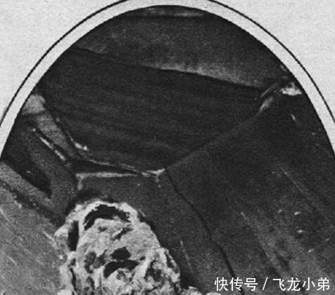 年代|80年代,考古队打开慈禧棺椁后,现场一专家悄悄说赶紧走!