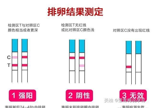 排卵时间|想提高怀孕几率？用对排卵试纸很重要！