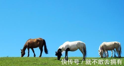 最美公路|十大最美公路之一，坝上天路好风光！京北第一草原名不虚传