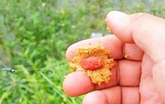 钓鱼高手分享的诱饵秘诀，跟着老钓手学饵料搭配注意事项！