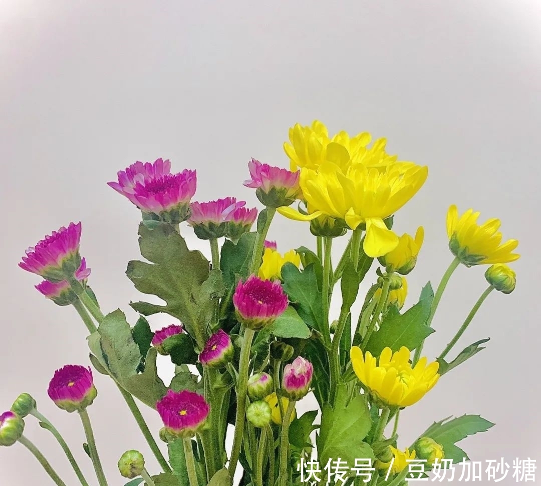 七夕|紫竹院公园科普 - 情绊七夕,爱在紫竹