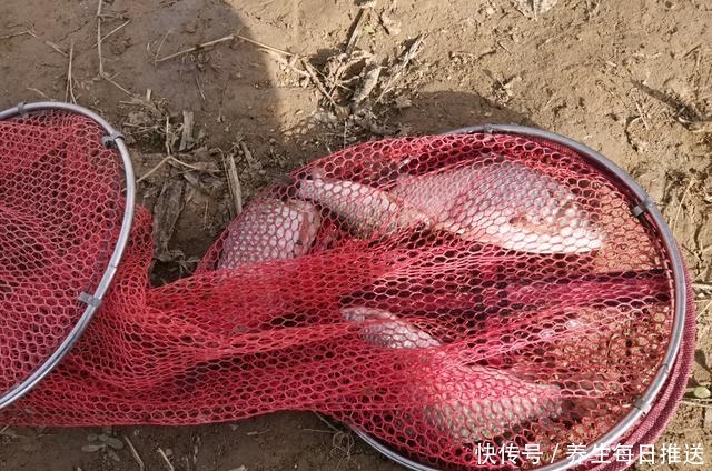 十几年的钓鱼经历,认识了4种“另类钓友”,大幅拓宽了垂钓边际