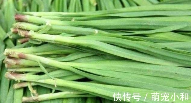 去买菜时遇到这种韭菜，你可不要买，菜摊老板自己都不吃！