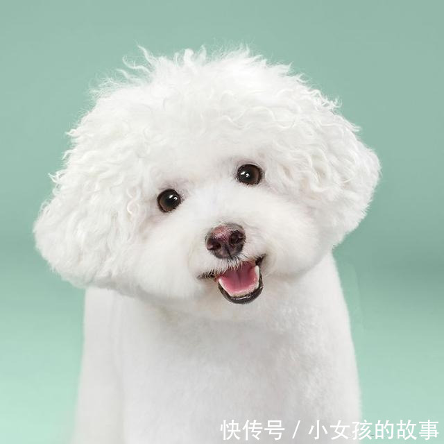 |8条段子:我们三个大老爷们被她追着打