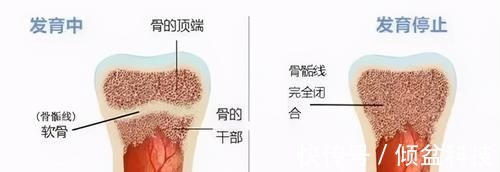 长高|儿科医生:到了这个年龄,男孩基本已经“截止长高”,家长别错过