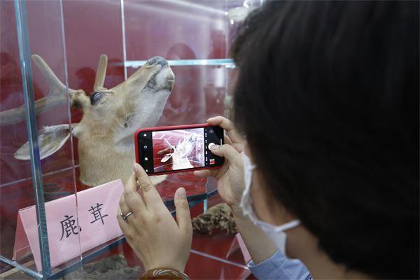 明仁|走进福瑞达医药探寻畅销药品背后的奥秘