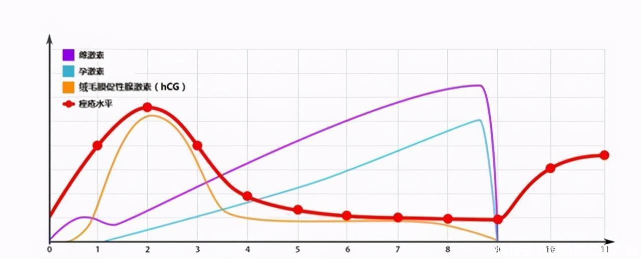 hcg|怀孕后,孕妈的口味会发生变化,但偏爱这两种口味的孕妈要当心