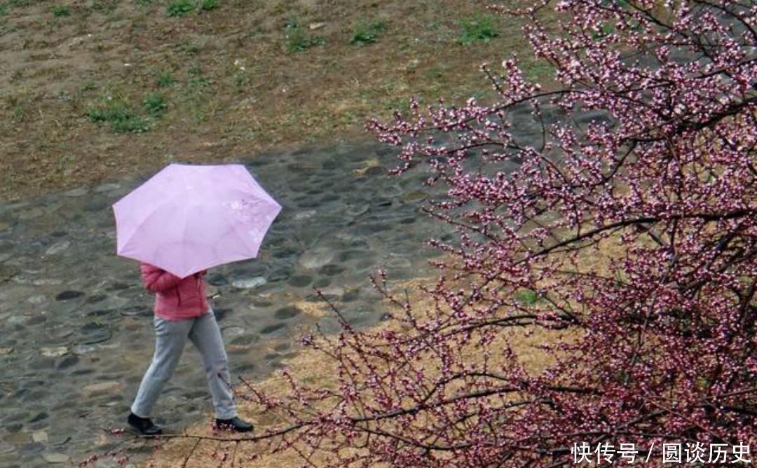 小雨|杨万里把生活中的小事写成诗，一首经典的七绝《小雨》，美得惊艳