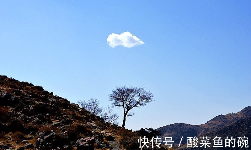 李白#李白最經(jīng)典的20首詩排行榜,《靜夜思》第四,前三都是哪些名篇?