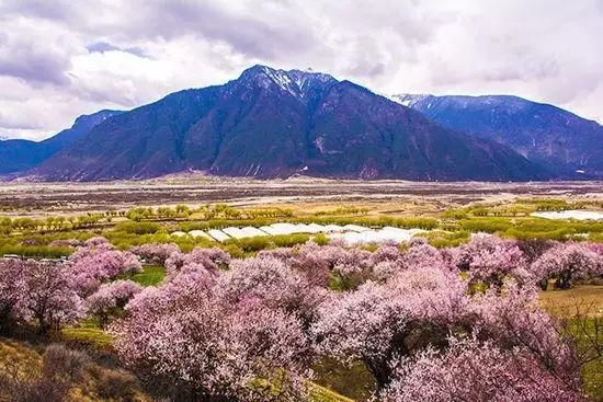 有生之年|有生之年一定要尝试的12个旅行体验，完成一半以上才算真会玩！