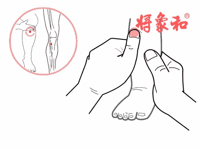 脾阳|脾虚百病生!一文区分脾气虚、脾阴虚、脾阳虚,辨证调理疾病远离