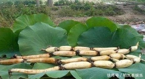 气血|气血充足，人精神更漂亮，5个补气养血的简单方法，一起来了解下