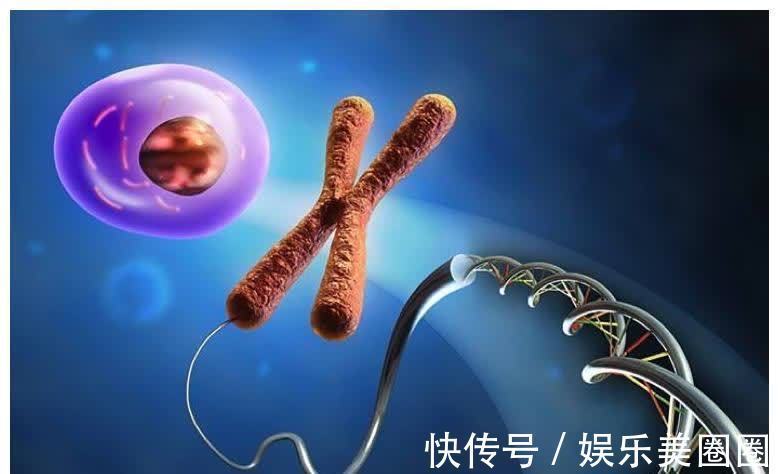 保护肝脏|大蒜与它一起炒着吃,气死癌细胞,贫血也不找,还能明目