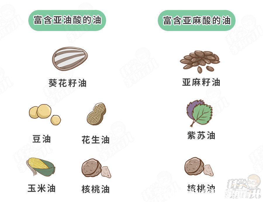 花生油|核桃油、亚麻籽油,全是噱头?娃吃油晚于这个年龄会影响智力