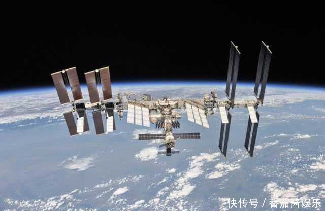 动物 为移居宇宙作准备？美国NASA将把128只小鱿鱼送上太空