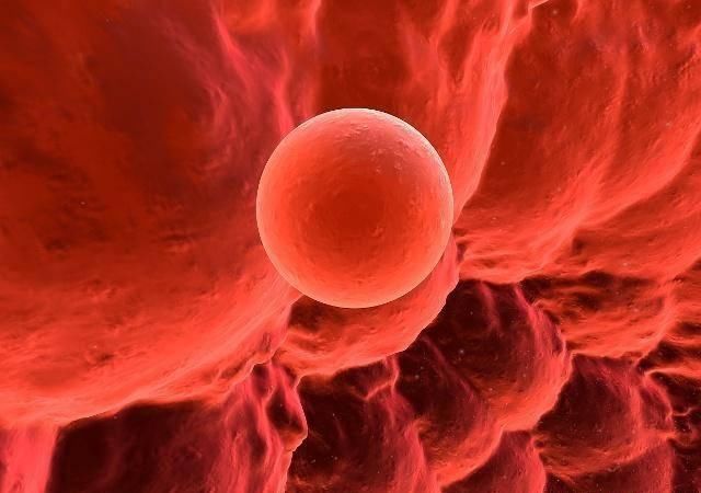 排卵期|要想成功受孕,找准排卵期是关键,月经后这一天别错过!