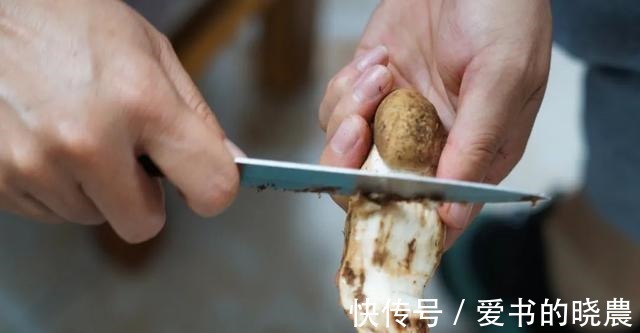 舌尖|「舌尖上的永胜」之鸡枞油!