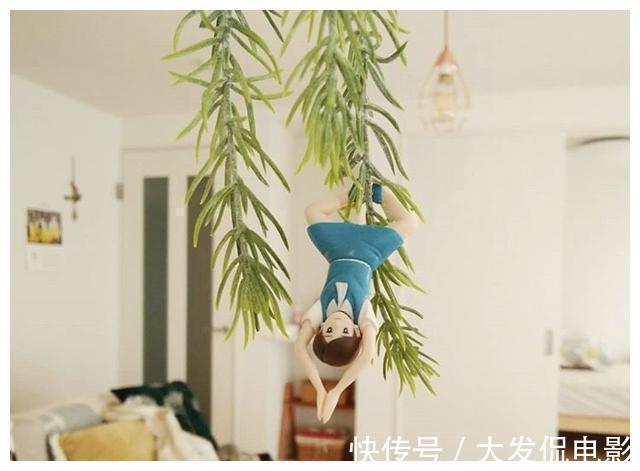 视觉效果|她说：一个人生活也要很精彩！日本80后独居女性的家，看完我爱了