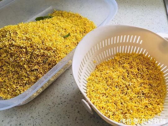 桂花蜜|蜂蜜泡桂花可以保存多久？桂花蜜放了3年还能喝吗？
