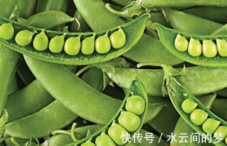 膳食纤维|9种补水减脂食物