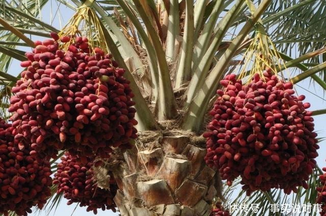 建议中年人入冬后少吃大鱼大肉，多吃这些美食，好吃不贵又营养