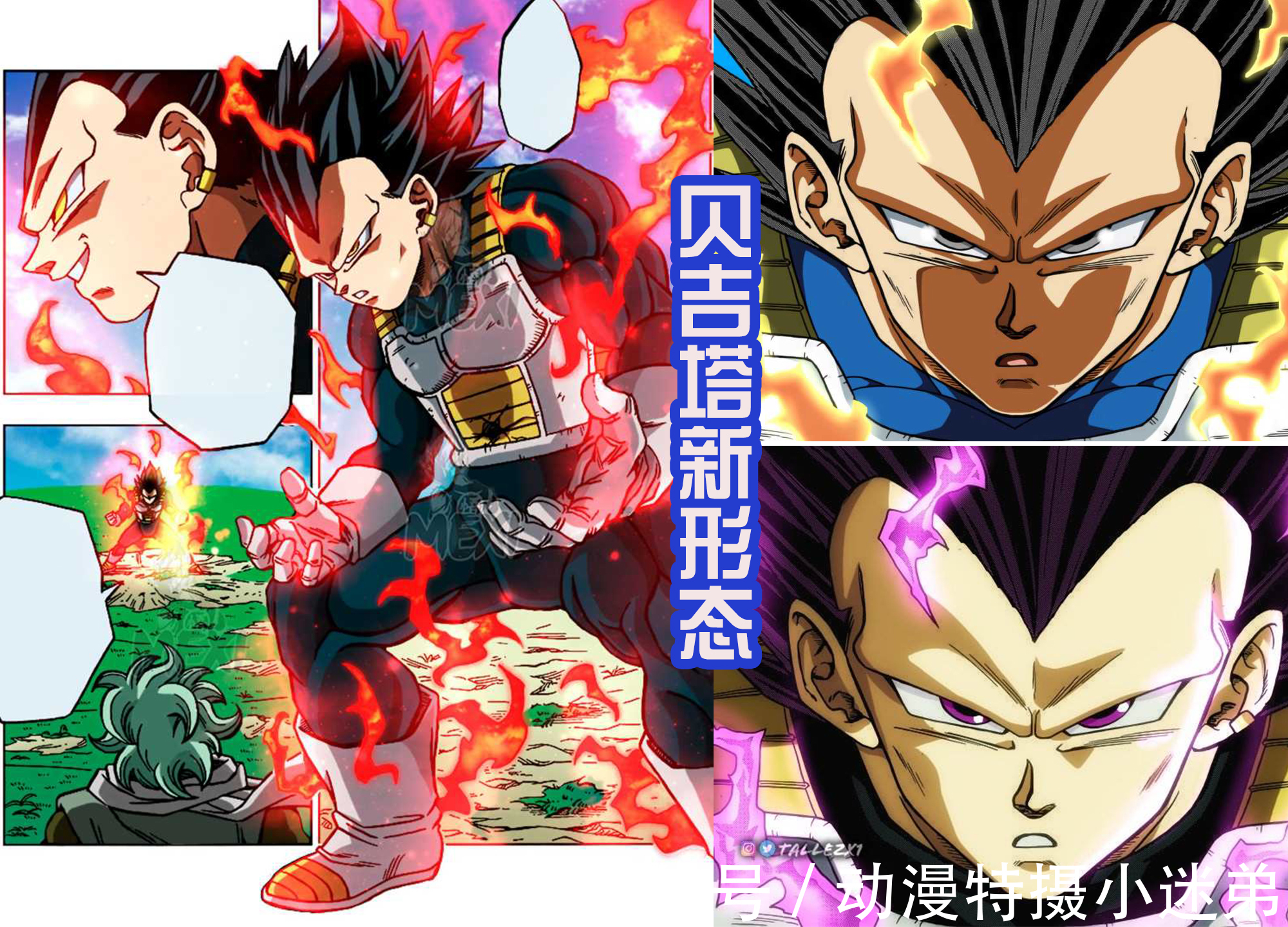形态|贝吉塔获得新的形态,名称是破坏之神,其实是鸟山明的废案?