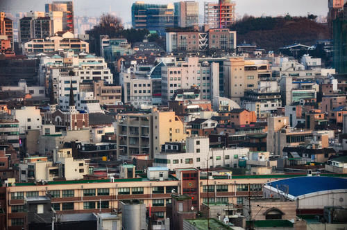 烟花有的像什么有的像