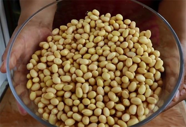 秘制黄豆辣椒酱，香辣美味又下饭，方法简单，保存180天不会坏