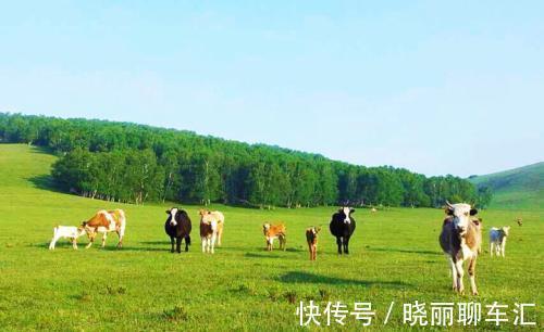 大草原|承德一低调景区，有北京后花园之称，国家级森林公园，名气却不大