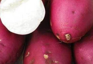 盤點：吃紅薯的養生功效