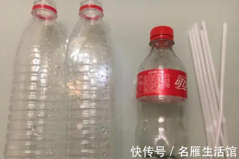 成本|家庭养花,该从哪些途径下手“压缩成本”?