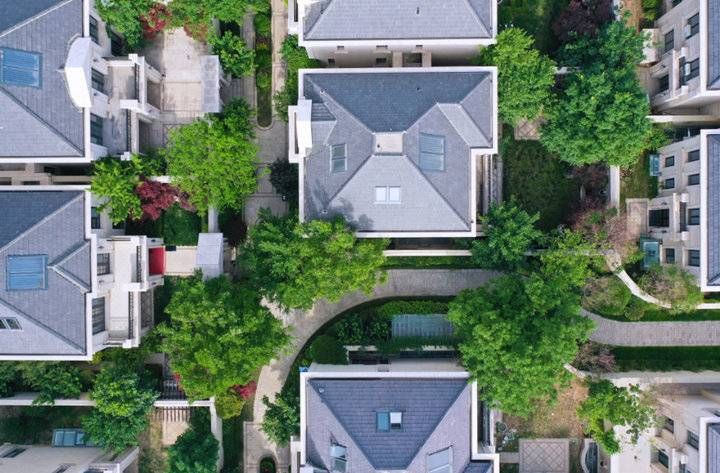 野在|忙在城市，野在“山上”