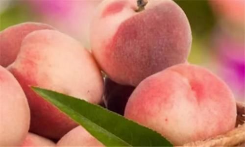 好处|6月来了，不妨多吃3种食物，美容养颜，补肝明目，好处多多