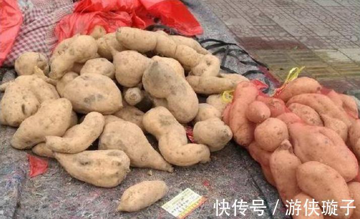 红薯随便放,难怪会发芽发霉!做好2个步骤,放一冬不烂不长芽