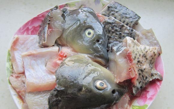 块钱|曾经是“4大名鱼”之首,现在却无人问津,10块钱一斤没人买