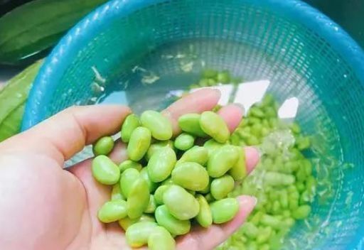 解暑|进入大暑天，吃鱼吃肉不如多喝“此汤”，低脂营养好，清爽又解暑