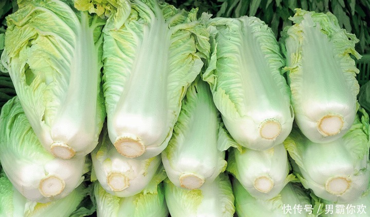 白菜饺子|秋冬吃饺子,韭菜茴香靠边站,用它做馅最香,正大量上市,别错过