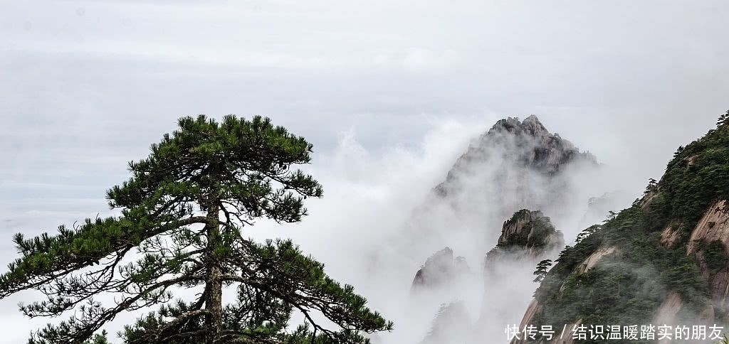 老年|云海、青松、奇峰 古典水墨画般的人间仙境