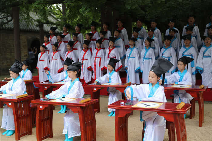 同学们|山东日照：与古树对话 体验传统文化