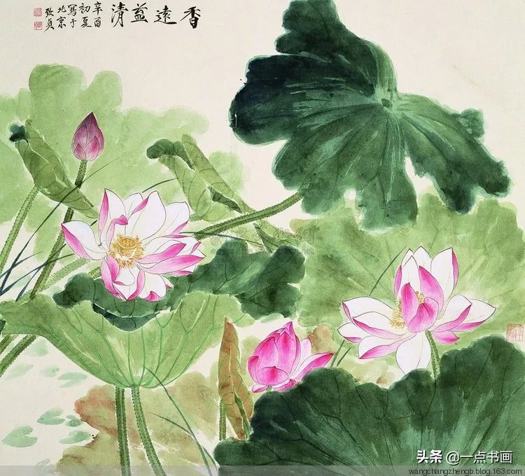 芙蓉#俞致贞 画荷，芙蓉出水，风情无限