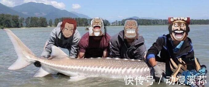 奎因|凯多吃了鱼鱼果实,虚伪的凯多也能下水,凯多和大妈故事有点多