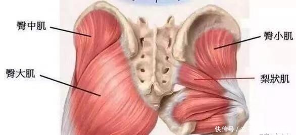 臀部|健身无捷径但也不能走弯路,新手练臀注意2个陷阱,避免南辕北辙